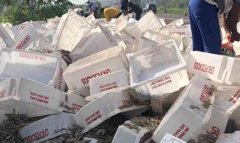 Moradores saquearam carga de camaro no Norte de Minas(foto: Jornal Bocaiuva em Notcias/divulgao)