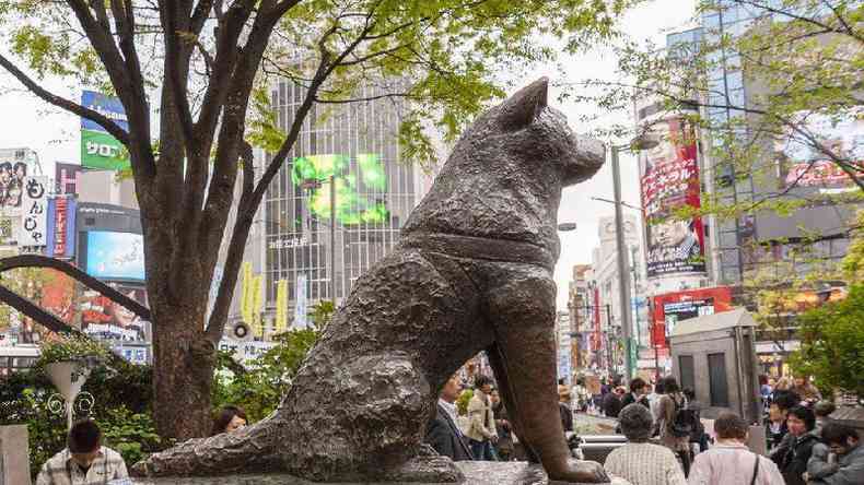 Esttua de Hachiko