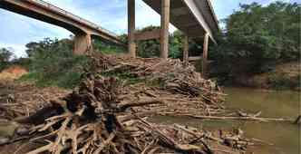 Em Iguatama, primeira cidade cortada pelo rio, troncos e bancos de areia formaram um dique sob ponte. Região não vê dinheiro para recuperação ambiental desde 2011(foto: Leandro Couri/EM/DA Press)