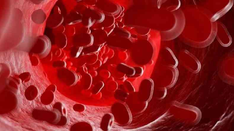 Clulas sanguneas humanas