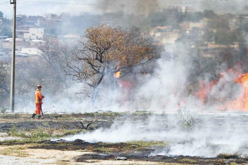 Contagem, MG. Bombeiros combatem incndio em terreno da CeasaMinas