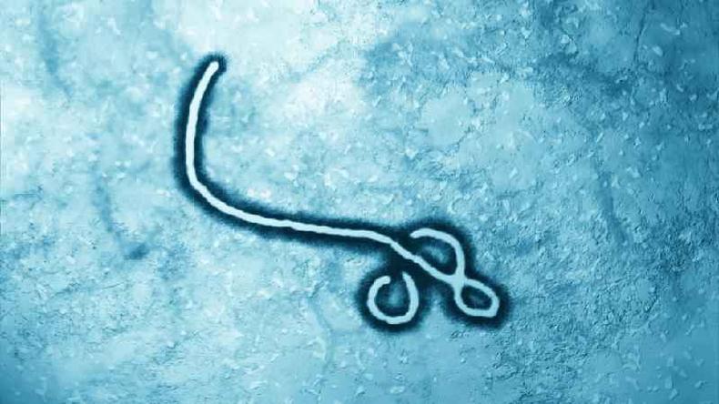 Peter Piot foi um dos descobridores do vírus ebola e ajudou a escolher esse nome, que buscava não estigmatizar ninguém(foto: Getty Images) Peter Piot foi um dos descobridores do vírus ebola e ajudou a escolher esse nome, que buscava não estigmatizar ninguém(foto: Getty Images)