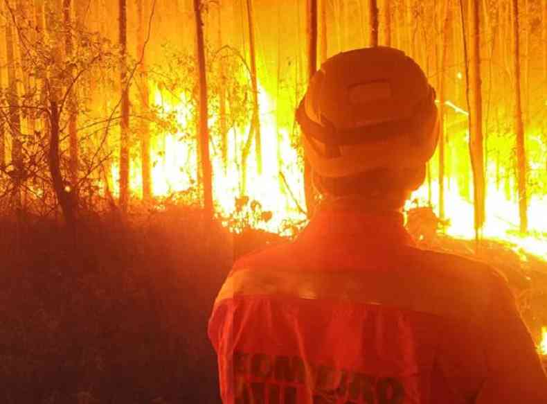 rea queimada  de grande proporo e exigiu muito trabalho por parte dos bombeiros(foto: CBMMG)