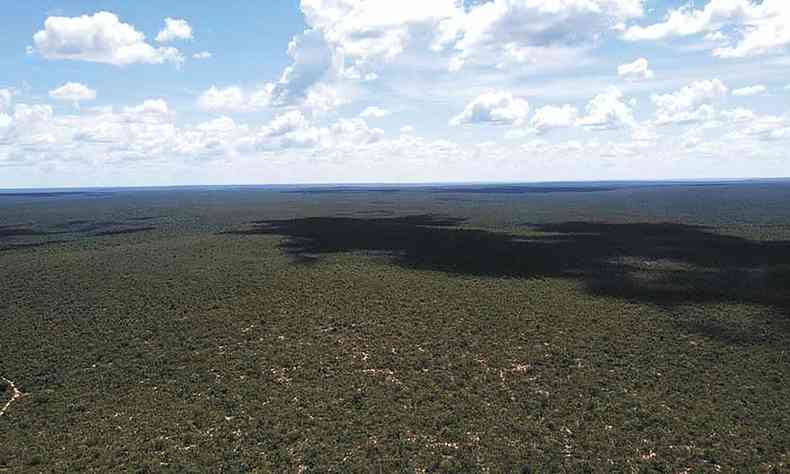 Terras da Fazenda Novo Buriti, da empresa BrasilAgro, que pleiteia autorizao para desmatar rea do bioma equivalente a um tero do territrio de BH