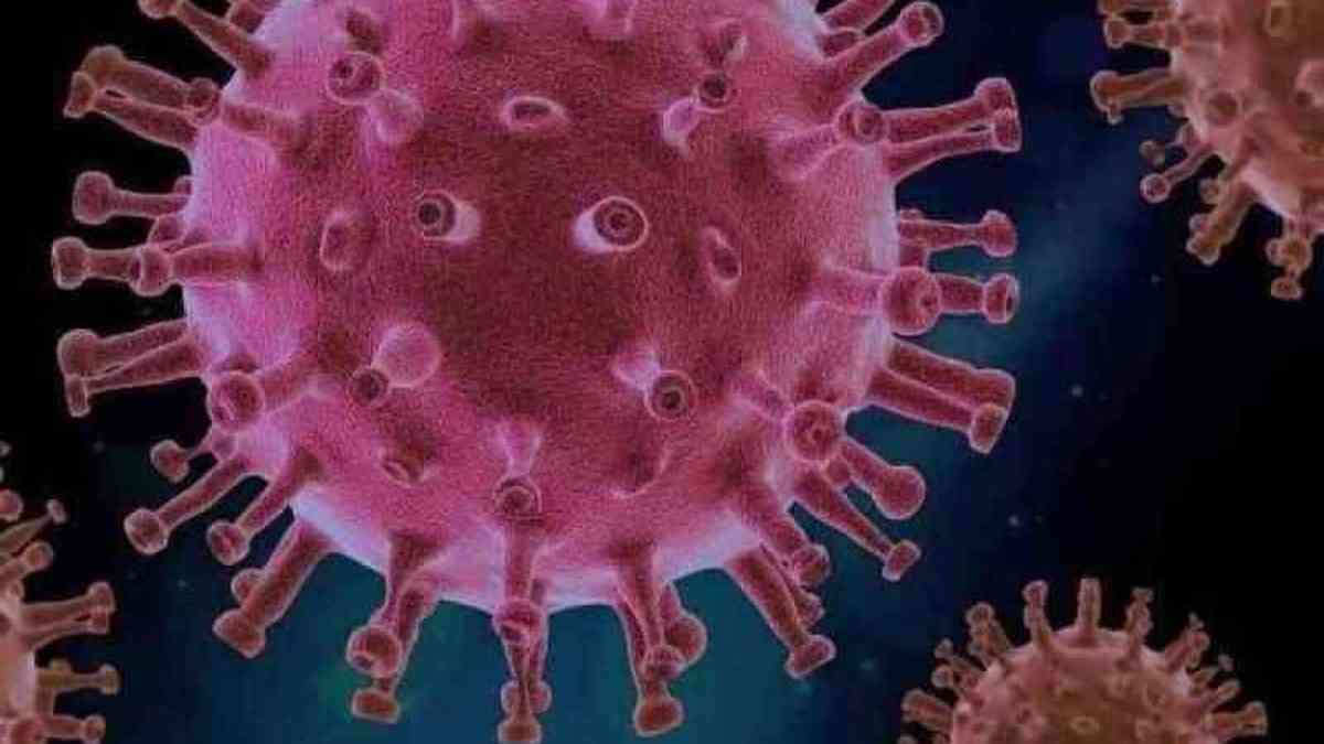 Corona virus: la nueva variante es más virulenta y puede tener una fuga vacunal