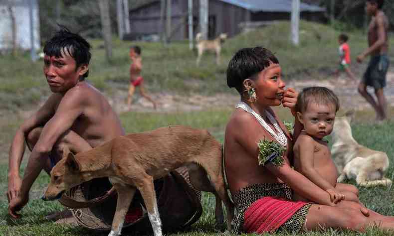 ndios Yanomamis em Alto Alegre, no estado de Roraima
