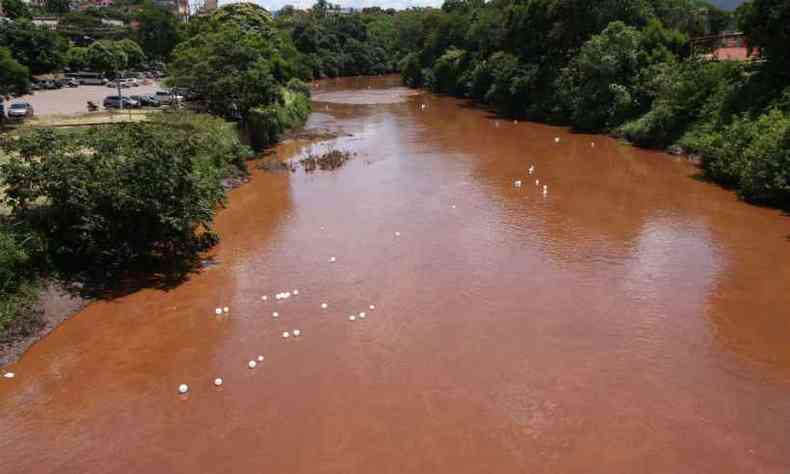 Rejeitos da barragem do Crrego do Feijo atingiram o Rio Paraopeba(foto: Edesio Ferreira/EM/D.A Press)