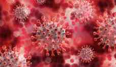 COVID:  tratar com anticorpos reduz risco de hospitalizao ou morte em 39%