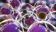 Terapia celular pode reduzir o risco de morte por COVID; aponta estudo