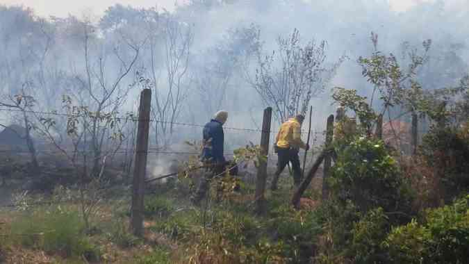 Incndio destri vegetao do Parque Estadual da Serra do Rola-Moa pelo segundo dia seguidoPaulo Filgueiras/EM/D.A.Press