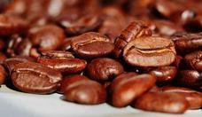 Safra de caf�s do Brasil em 2021 tem redu��o de 22,6%, aponta levantamento