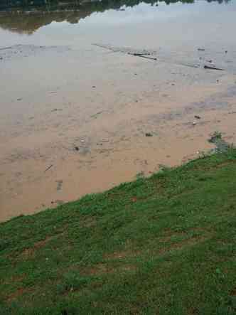 Lagoa da Pampulha foi tomada pelo lixo(foto: Renato Scapolatempori/EM/D.A Press)