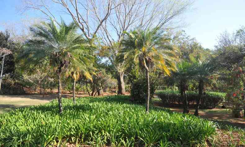 Parque Roberto Burle Marx