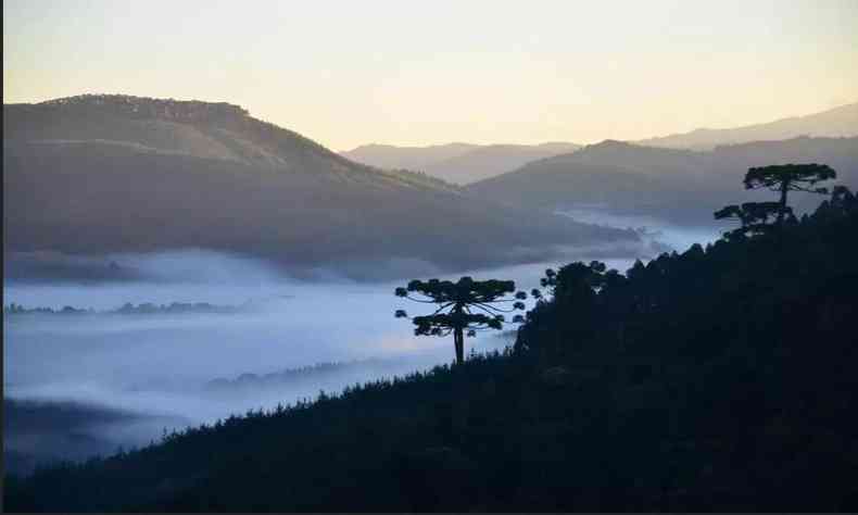 vista de uma montanha com neblina