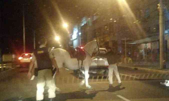 Cavalos fugiram pela avenida e militares usaram viaturas para perseguir os animais(foto: Abner Barbosa/Divulgao)