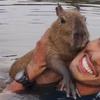 Homem viraliza com sua capivara de estimação 