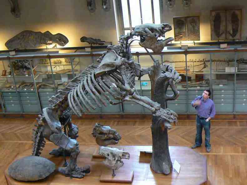Esqueleto de bicho-preguia gigante, imagem meramente ilustrativa