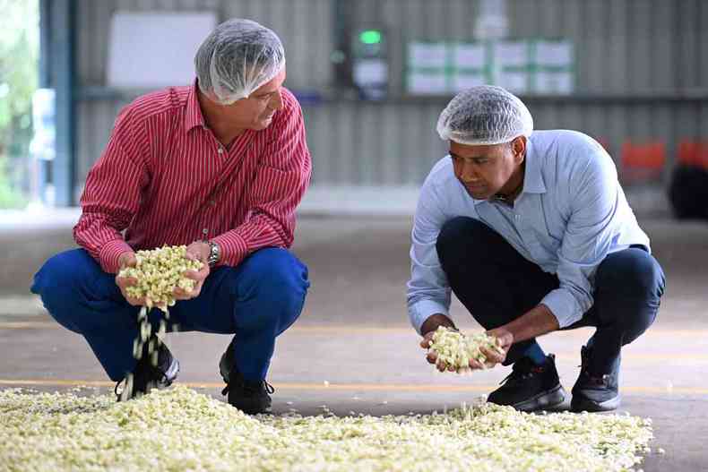 O perfumista Thierry Wasser e Raja Palaniswamy, diretor da Jasmine Concrete, examinam botes de flor em Madurai 