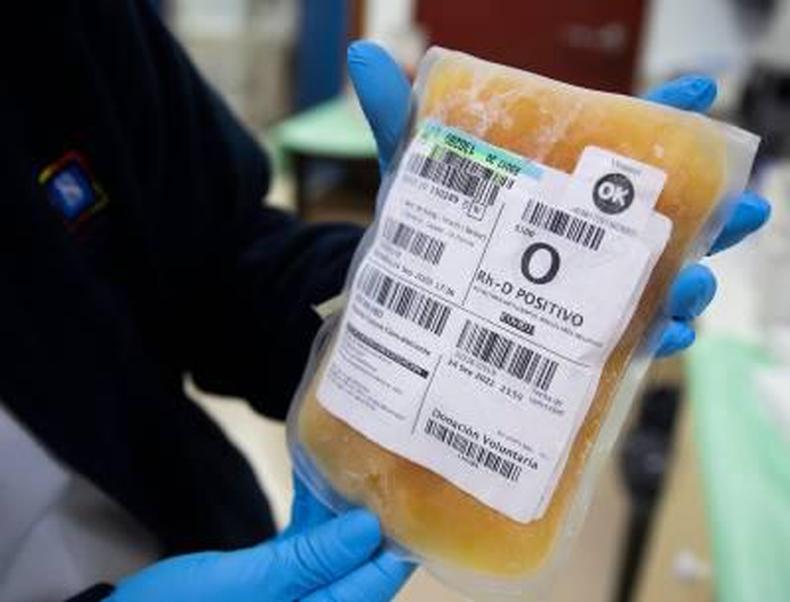 A laboratory technician shows a bag of frozen blood plasma from a donor who has recovered from COVID-19 at The Blood and Tissue Bank Fundation (Fundacion del Banco de Sangre y Tejidos) in Palma de Mallorca on October 5, 2020 as part of a research project that seeks to prove the effectiveness of plasma from recovered patients for the treatment of COVID-19 patients. / AFP / JAIME REINA