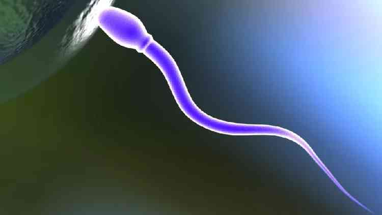 Ilustrao de espermatozoide