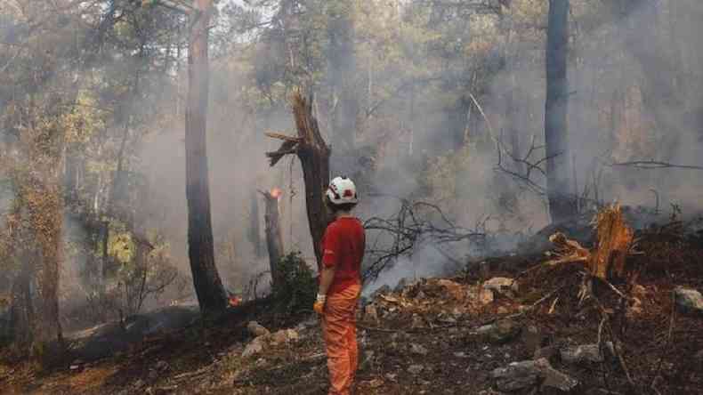 Voluntrio observa incndio em Marmaris, Turquia