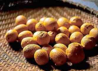O buriti, encontrado na Amaznia e em outras regies do pas, foi um dos frutos que tiveram o leo potencializado(foto: Natura/Divulgao)