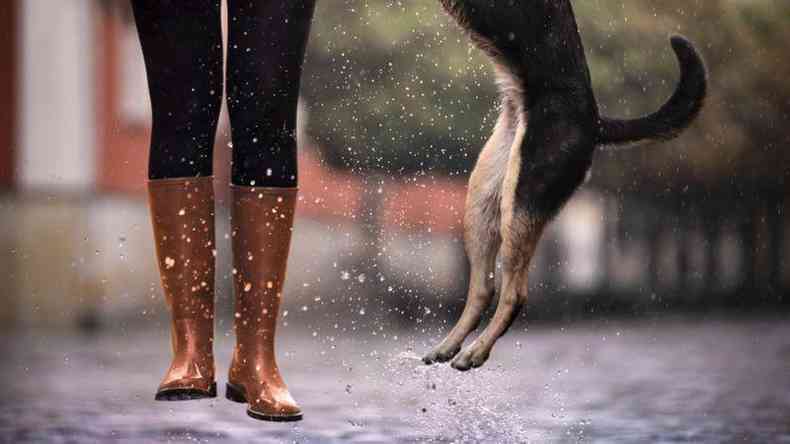 Pernas de mulher com galocha e patas de cachorro pulando na chuva
