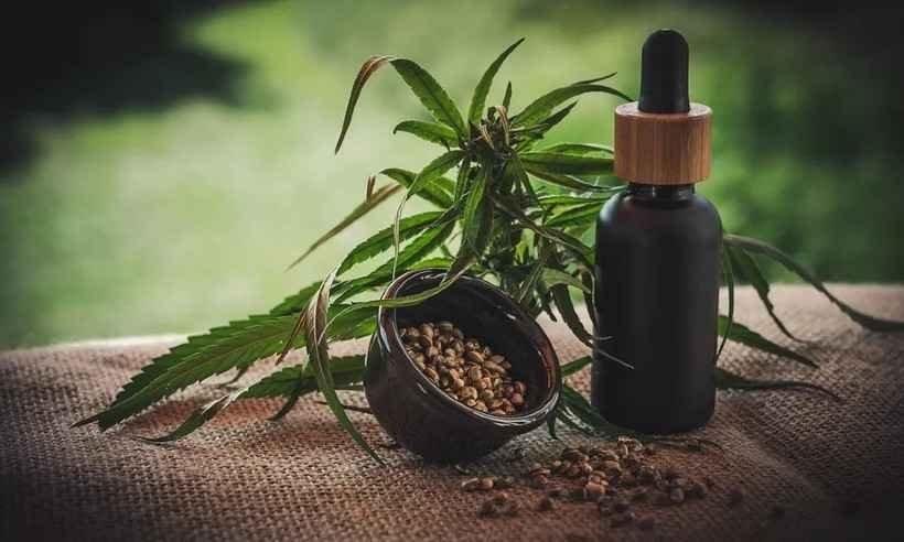 Extrato de Cannabis PROMEDIOL - 50mg/mL será comercializado em frascos de 10 mL e 30 mL(foto: Reprodução/Pixabay) Cannabis medicinal