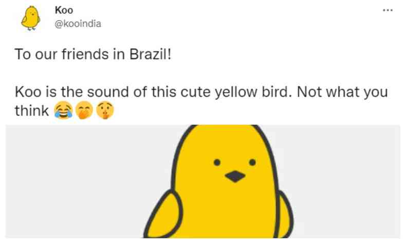Print mostra o tweet realizada pela plataforma 'Koo' e endereado aos brasileiros. L-se em ingls, 'Para nossos amigos no Brasil! 'Koo'  o som deste fofo pssaro amarelo, no o que voc est pensando.' 