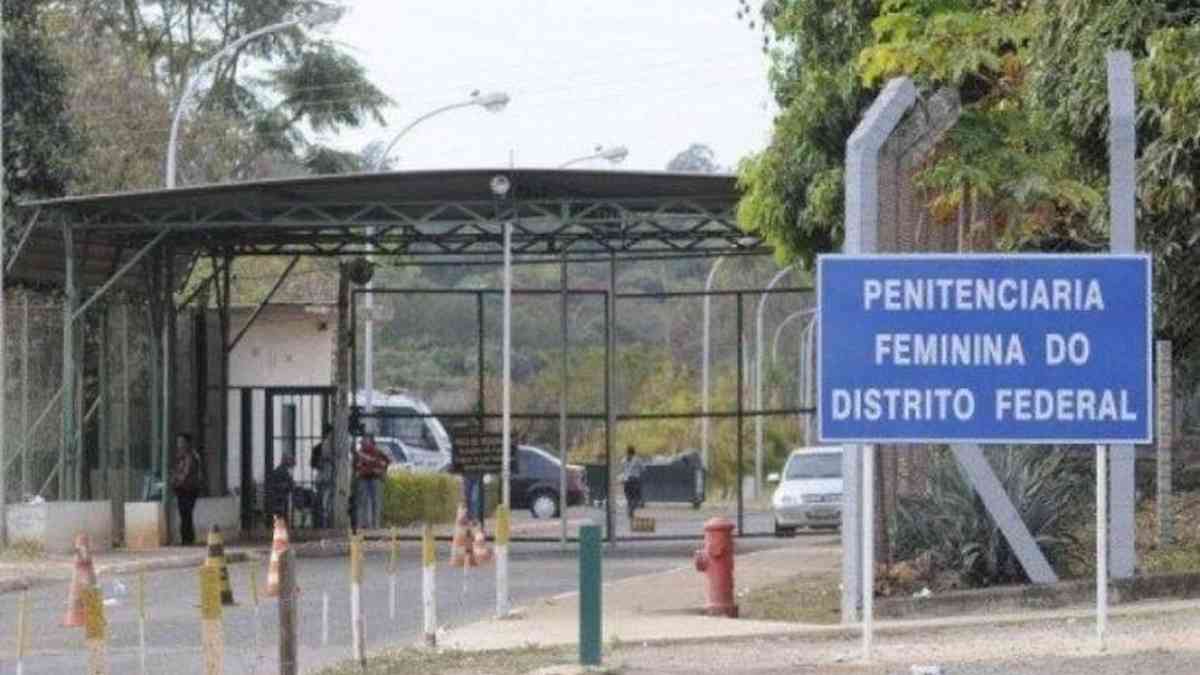 Desigualdade de gênero e superlotação: a 'Colmeia' depois do 8 de janeiro -  DiversEM - Estado de Minas