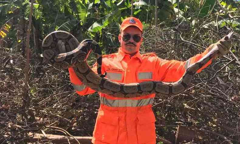 A cobra foi levada para uma rea de preservao ambiental(foto: CBMG)
