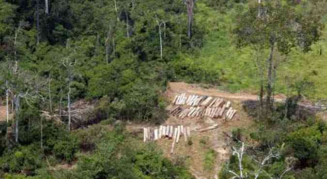 Desmatamento na Floresta Amaznia foi menor em 2012(foto: Juvenal Pereira/WWF)