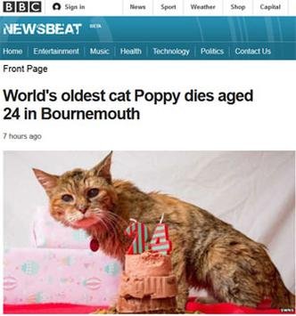 Poppy comemorou último aniversário pouco antes de morrer(foto: Reprodução/bbc.co.uk) Poppy comemorou último aniversário pouco antes de morrer(foto: Reprodução/bbc.co.uk)