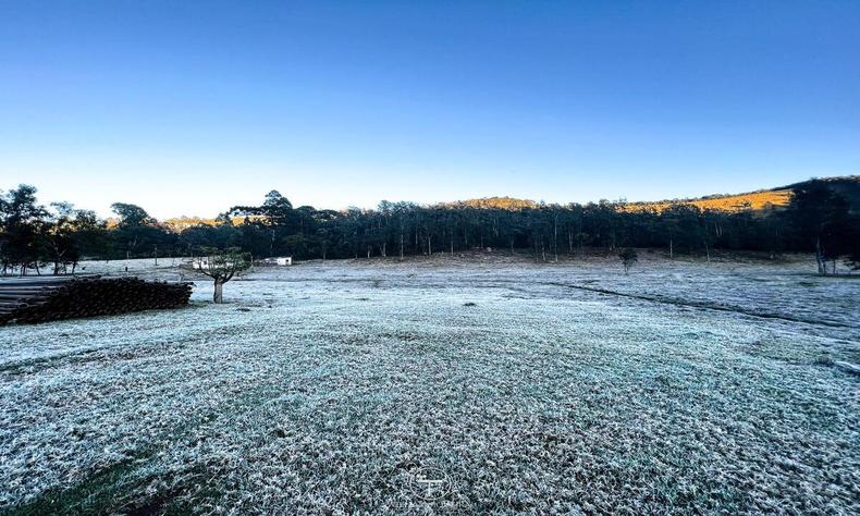 gramado coberto por frio