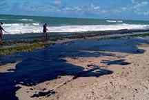 Esgoto nas praias faz do litoral um mar de coliformes fecais