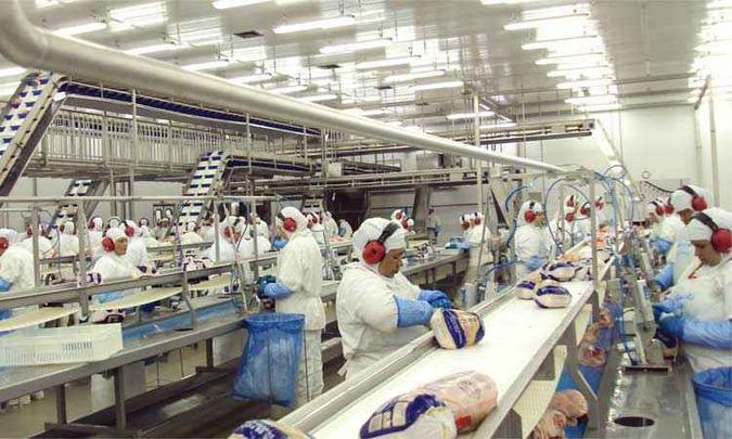 No início do mês, a China anunciou que vai impor um preço mínimo para aves, o que aumenta as dificuldades para o setor no Brasil(foto: ANPr/ SINDIAVIPAR 21/1/16) No início do mês, a China anunciou que vai impor um preço mínimo para aves, o que aumenta as dificuldades para o setor no Brasil(foto: ANPr/ SINDIAVIPAR 21/1/16)
