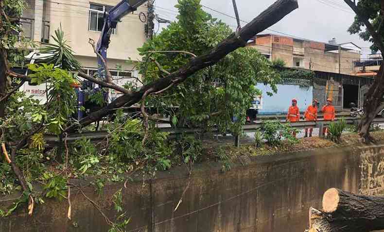 As ocorrncias de queda de rvores foram as mais frequentes no fim de semana chuvoso em Ipatinga(foto: Divulgao PMI)