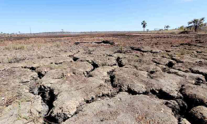 Registros de destruio de veredas e intensidade da seca na Regio Norte de Minas(foto: Solon Queiroz/Especial para o Estado de Minas - (19/11/2017))