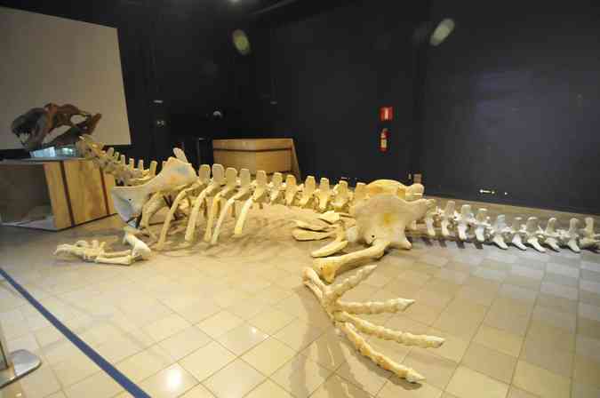 Museu no Acre abriga réplica do Purussaurus e até caixa que só será aberta  em 2120 - Portal Amazônia