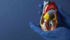 Órgãos e tecidos: Brasil é o 2º país que mais faz transplantes no mundo