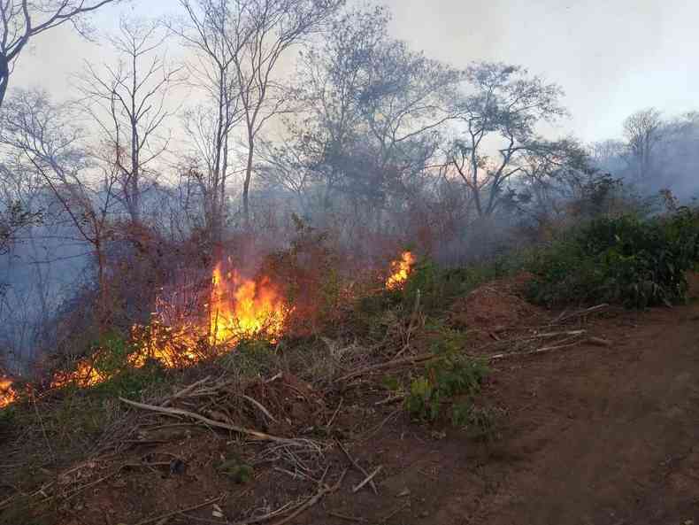 Vegetação seca facilita a propagação das chamas e dificulta combate pelas equipes (foto: Eduardo Gomes/Divulgação)