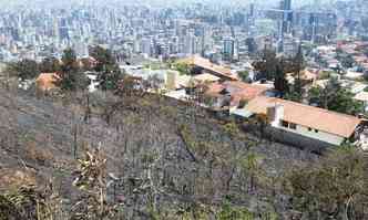 Moradores viveram momentos de pnico com as chamas muito perto dos imveis(foto: Paulo Filgueiras/EM/DA Press)