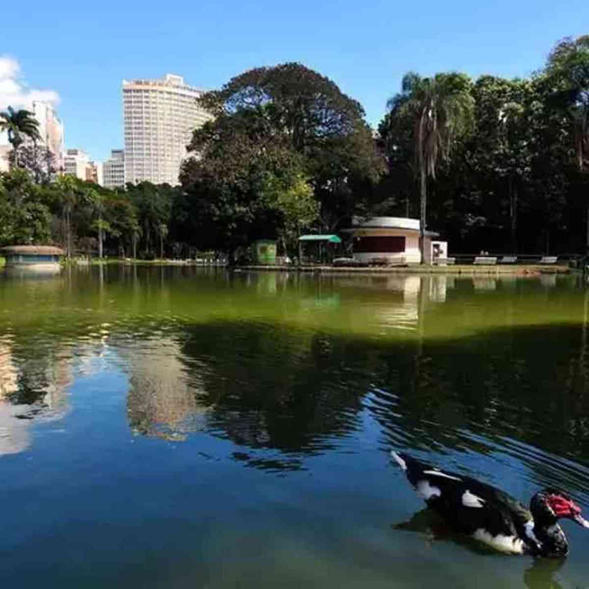 Novo parque aquático infantil da Sede Social BH está disponível a partir do  sábado, 04 de setembro - APCEF/MG