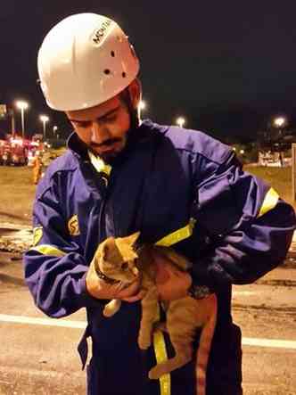 Gato foi resgatado prximo  ala de acesso(foto: Marcos Vieira/EM/D.A.Press)