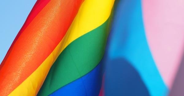 Câmara Municipal votará PL que protegerá pessoas trans e travestis - Estado de Minas