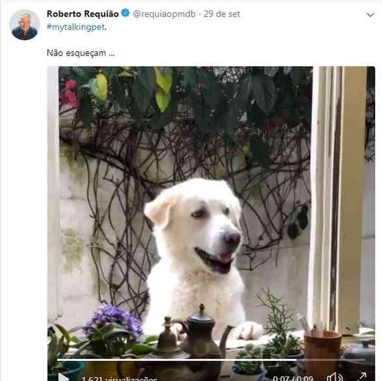 O cachorro 'recomenda' o voto em Requião(foto: Reprodução)