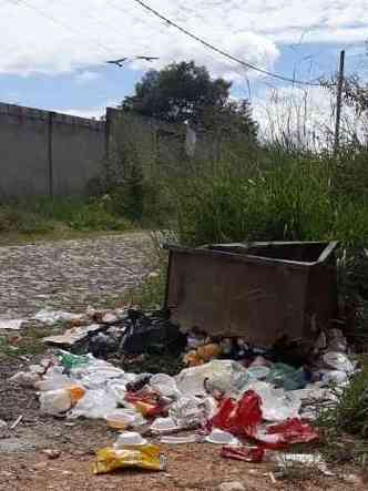 Moradores encontraram muito lixo espalhados nas ruas aps festas nos stios alugados para fins de semana e feriados(foto: Arquivo Pessoal)