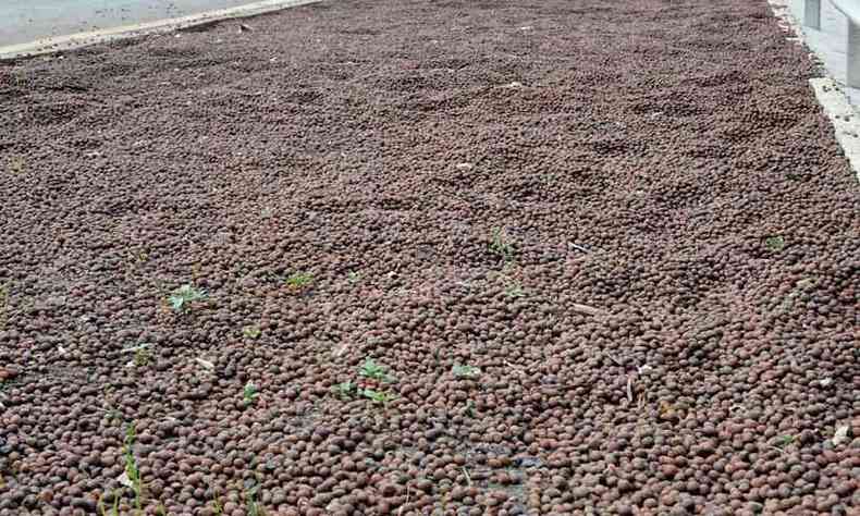 pedras de argila expandida que preenchem a 'piscina' ajudam na frenagem