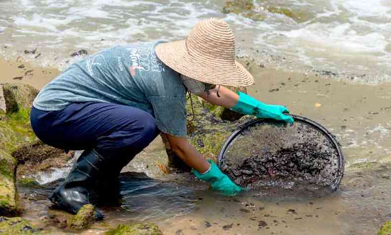Com sua peneira, voluntrio tenta livrar o mar do leo que poluiu a Praia de Poas, na Bahia(foto: Mateus Morbeck/AFP)