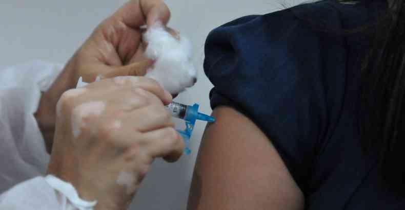 Brasileiros começaram a ser vacinados em solo nacional em 17 de janeiro deste ano(foto: Alexandre Guzanshe/EM/DA Press)